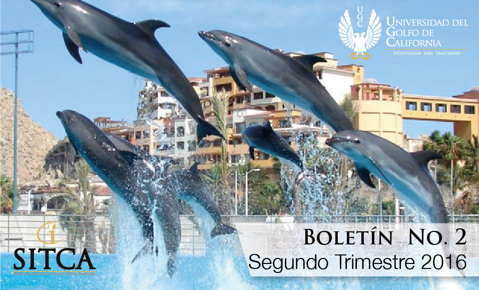 Boletin 2 - 2016